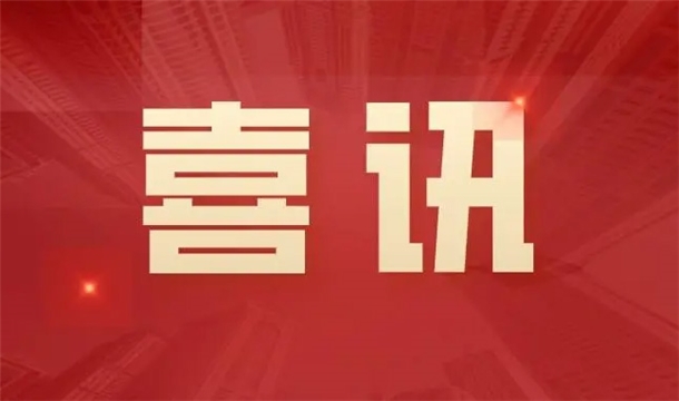 喜讯|优发国际股份HP-1200T型全自动仿石砖生产线入选2021年度福建省工业和信息化重点新产品推广目录（第一批）